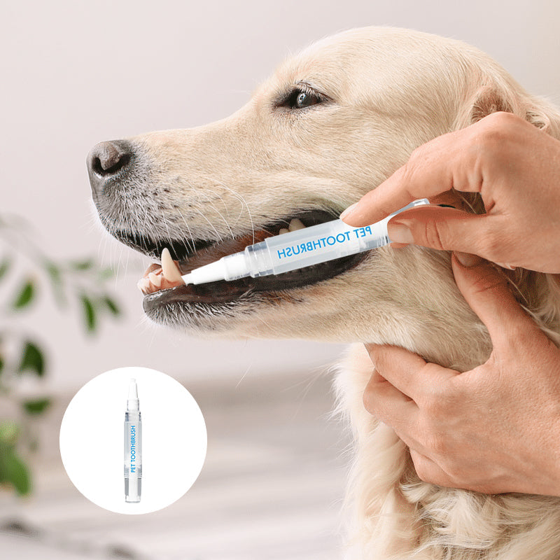 New improved toothbrush pen for pets | Kalsten