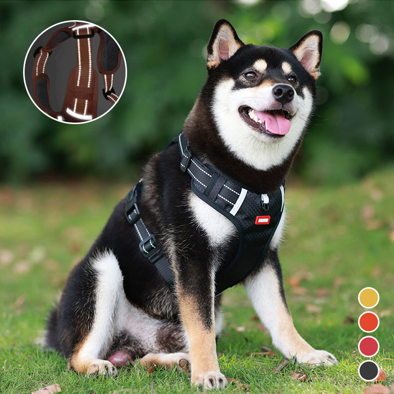 Kalsten | Reflective Dog Harness