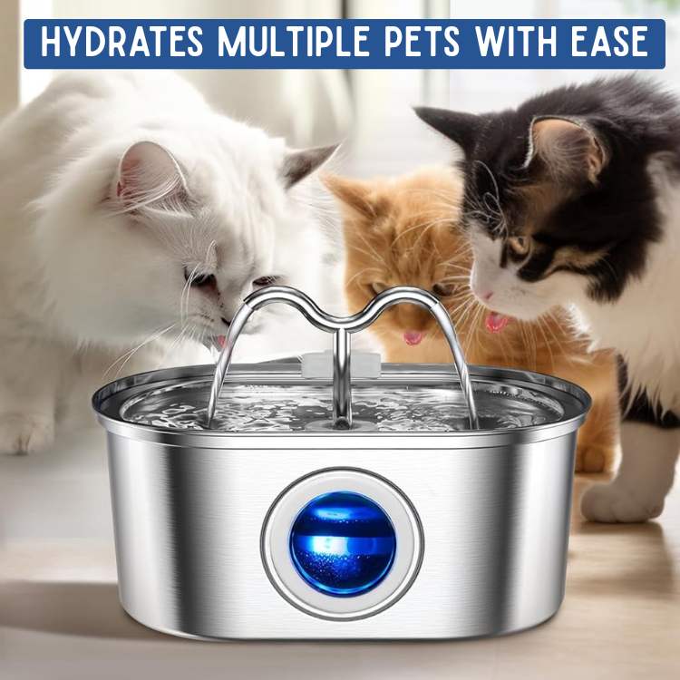 Cats Water Fountain made of Stainless Steel – Quiet, Hygienic and BPA-free – 2L Capacity | Kalsten
