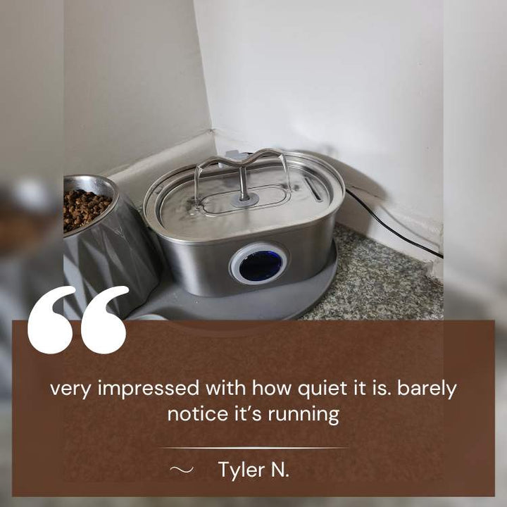Cats Water Fountain made of Stainless Steel – Quiet, Hygienic and BPA-free – 2L Capacity | Kalsten