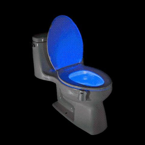 Motion Activated Disco Toilet Bowl Light | Kalsten