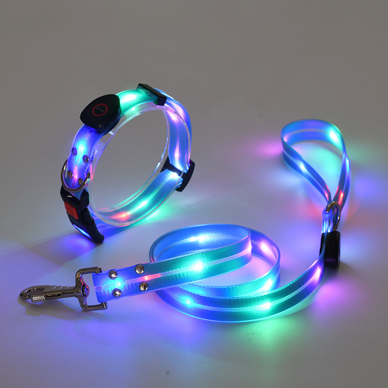 Glowing LED Dog Collar with Leash - NightBright Bowlift