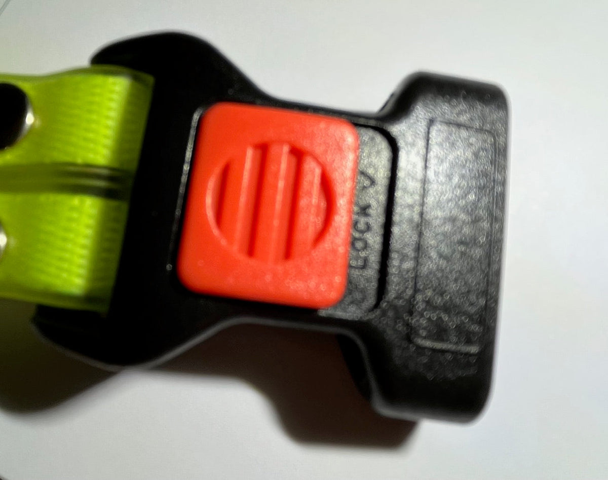 Glowing LED Dog Collar with Leash - NightBright Bowlift