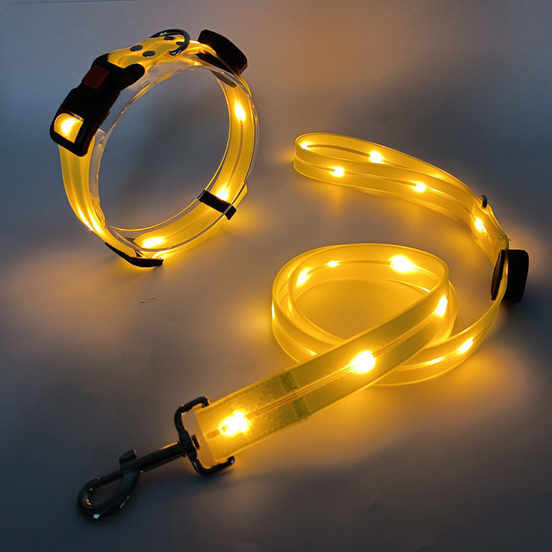 Glowing LED Dog Collar with Leash - NightBright Bowlift