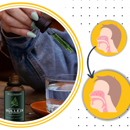 Gluten-Free Mullein for Lung Health