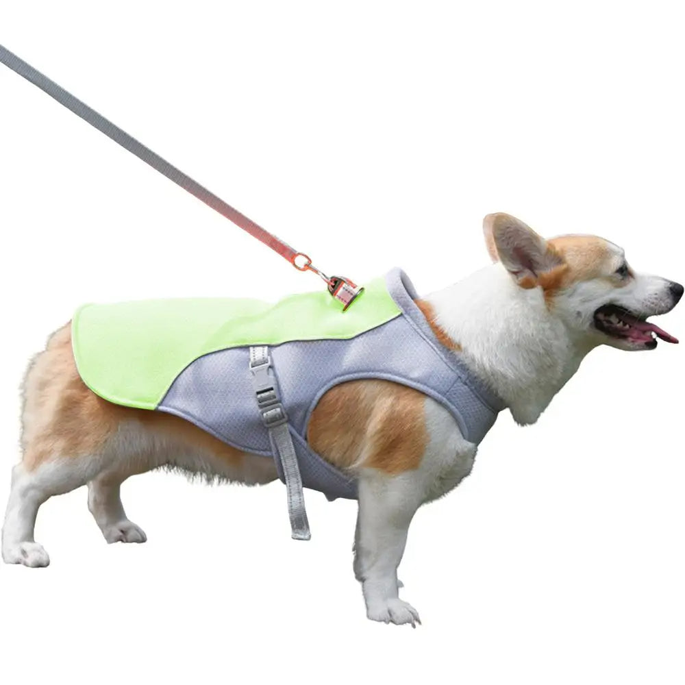 Dog Cooling Vest for Outdoor Activities | Kalsten