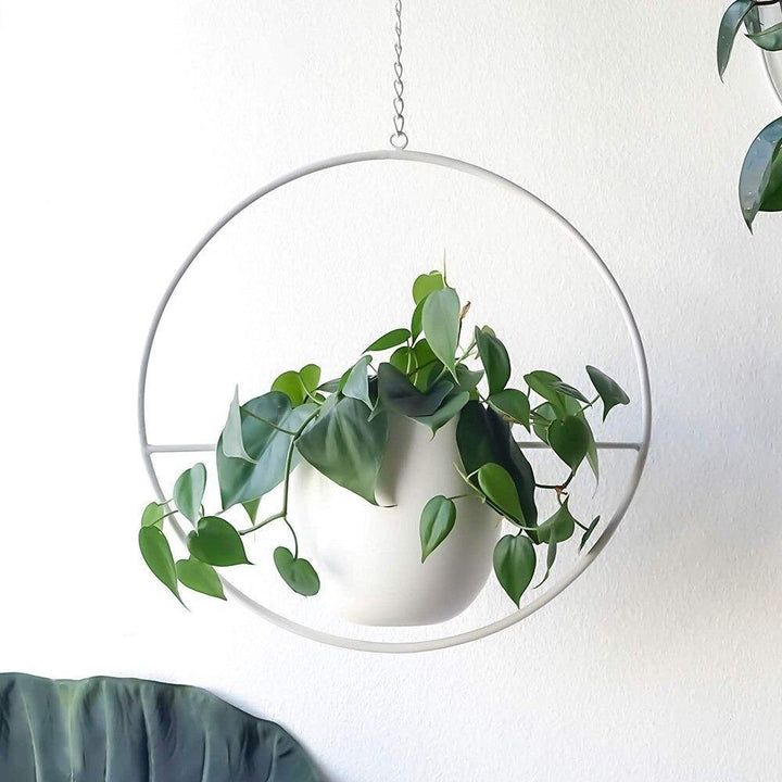 HaloRing Hanging Plant Holder – Metal Hanging Planter for Indoor and Outdoor | Kalsten