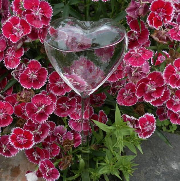 Kalsten | Self-Watering Plant Bulb