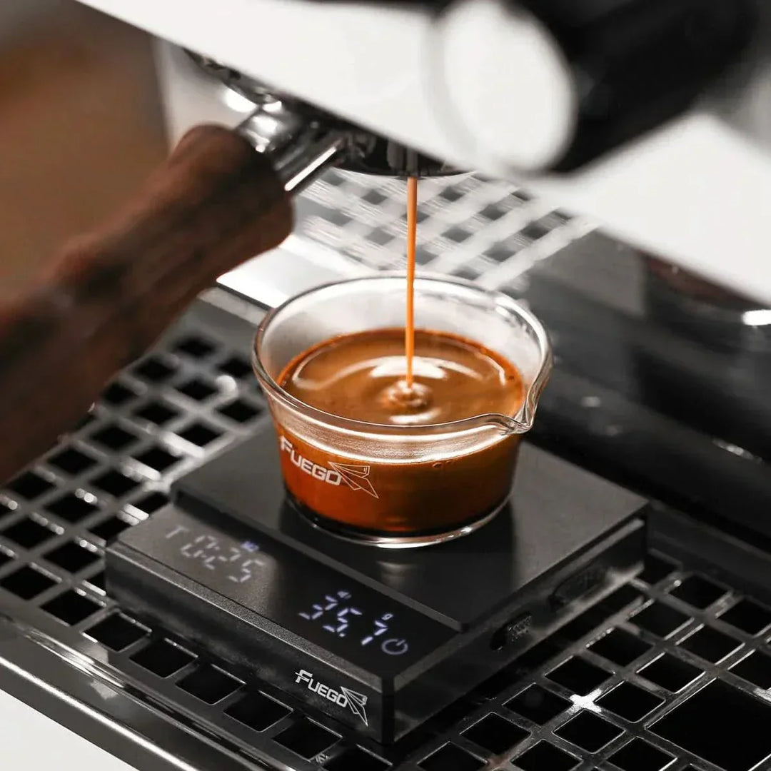 Kalsten | Digital Coffee Scale – High Precision Pocket Barista Scale
