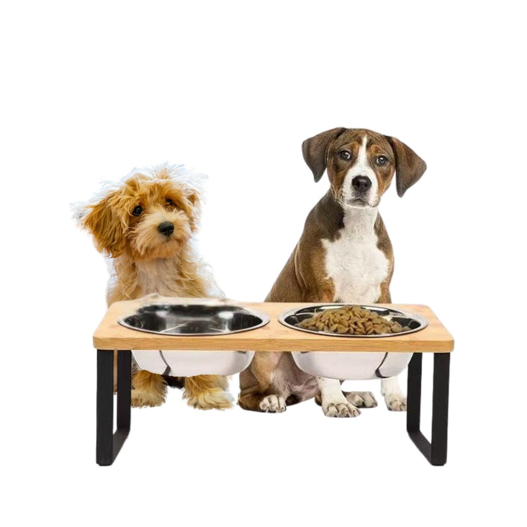 Raised Dog Food Bowl – Bamboo Stand with Removable Stainless Steel Bowls | Kalsten