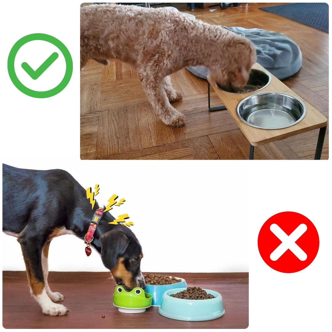 Raised Dog Food Bowl – Bamboo Stand with Removable Stainless Steel Bowls | Kalsten