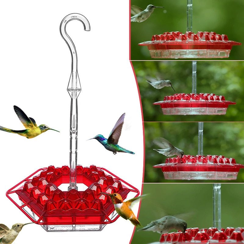 Kalsten | Hummingbird Feeder With Perch And Built-in Ant Moat