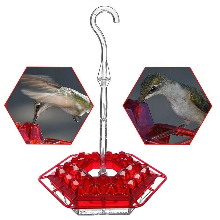 Kalsten | Hummingbird Feeder With Perch And Built-in Ant Moat