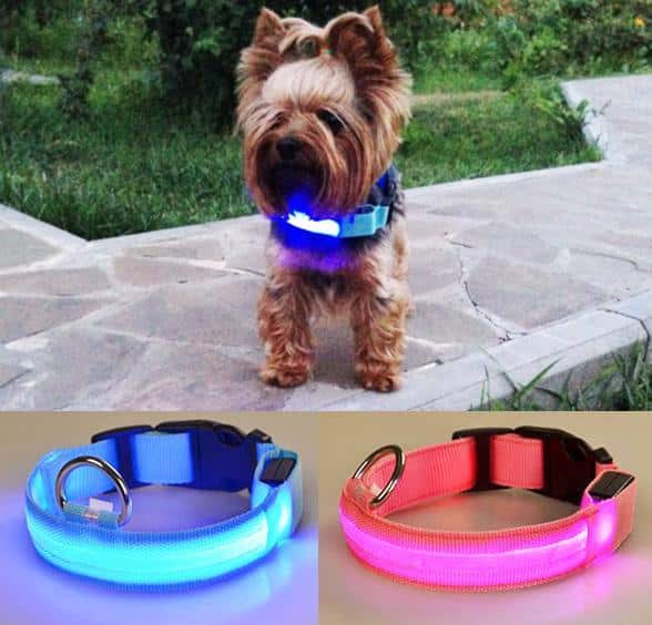 Dog collar with LED light | Kalsten