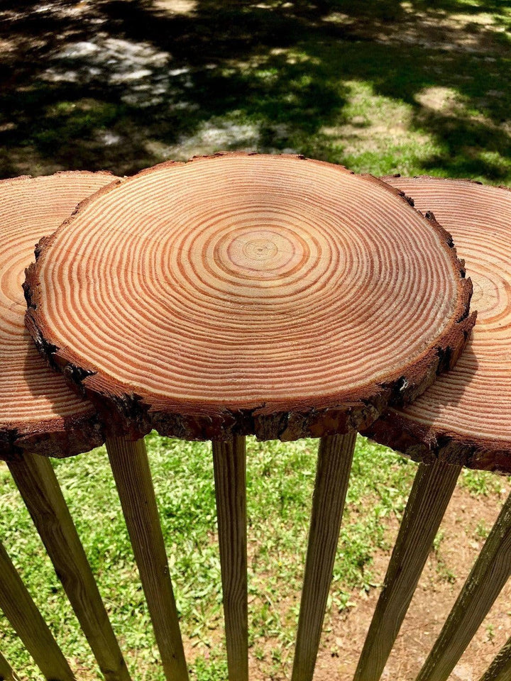 Natural Wood Slice Coasters | Kalsten