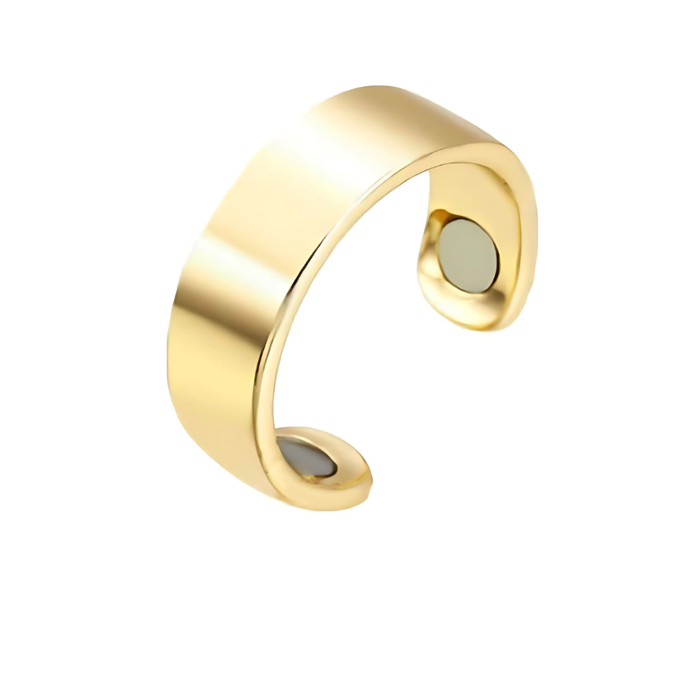Kalsten | Magnetic Therapy Stainless Steel Healing Ring