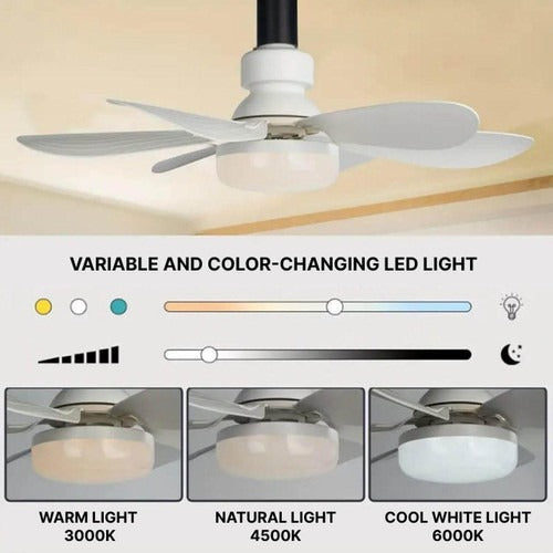 Ceiling-mounted fan | Kalsten