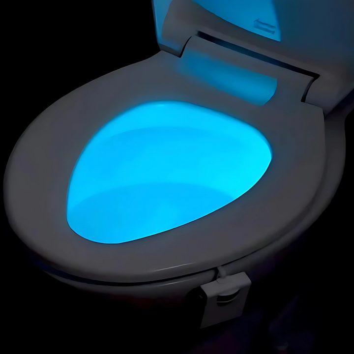 Motion Sensor LED Toilet Bowl Light Kalsten