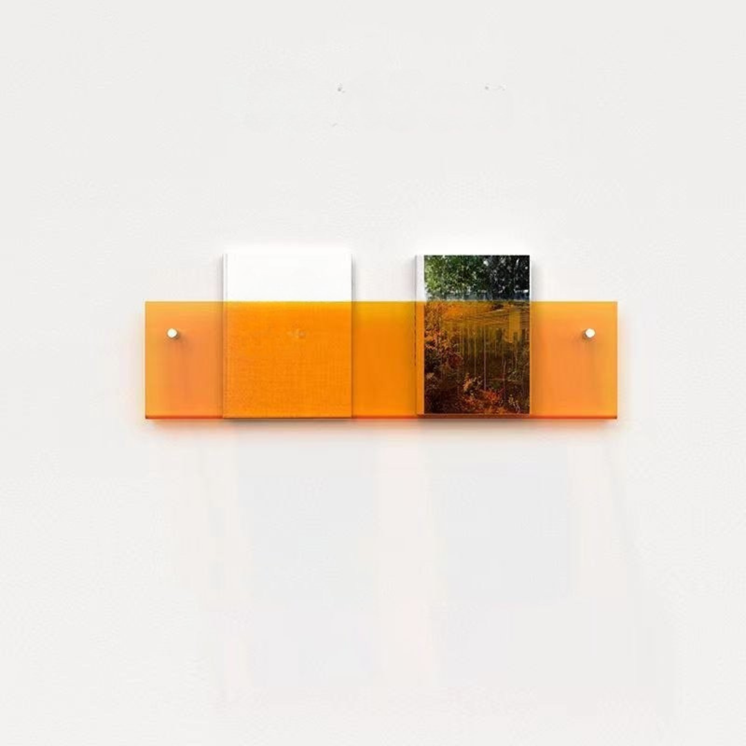 Clear Acrylic Wall Magazine Shelf Kalsten