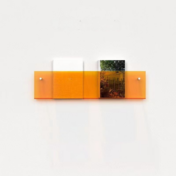 Clear Acrylic Wall Magazine Shelf Kalsten