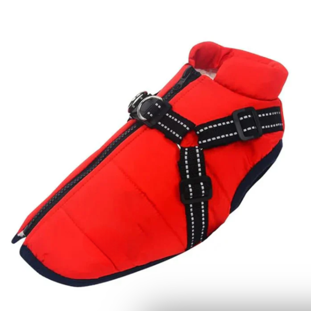 Dog Crate Harness for Winter Travel Kalsten