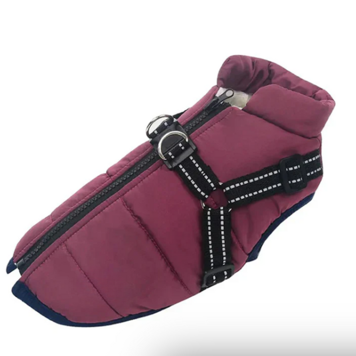 Dog Crate Harness for Winter Travel Kalsten