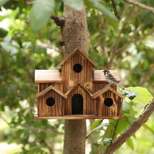 BowLift | Handcrafted Wooden Birdhouse  Tree Birdhouse with 6 Holes