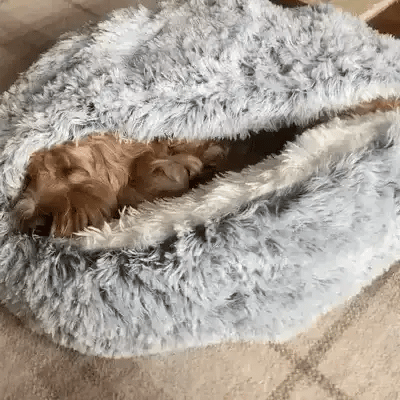 Calming Pet Cave Bed