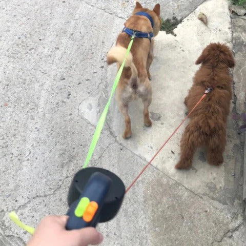 Tangle-Free Dual Dog Lead with LED Light & 360° Swivel