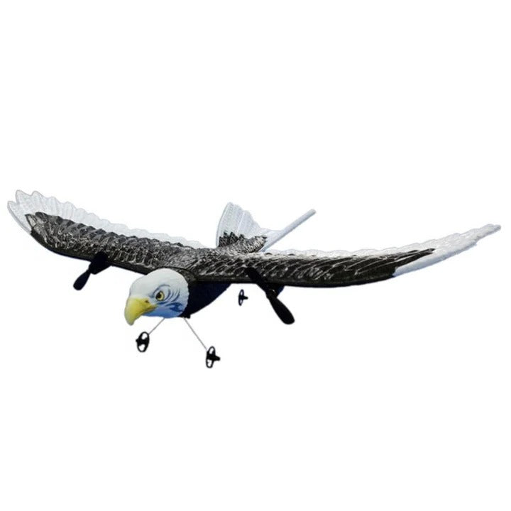 Kalsten | Remote Control Eagle Bird