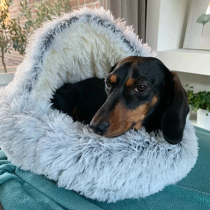 Calming Pet Cave Bed