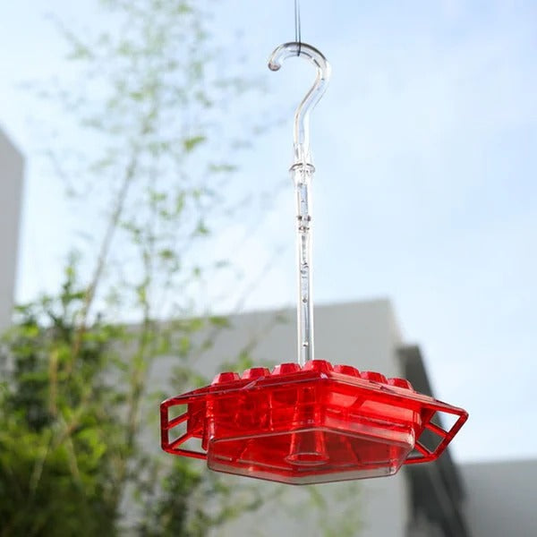 Kalsten | Hummingbird Feeder With Built-In Ant Moat