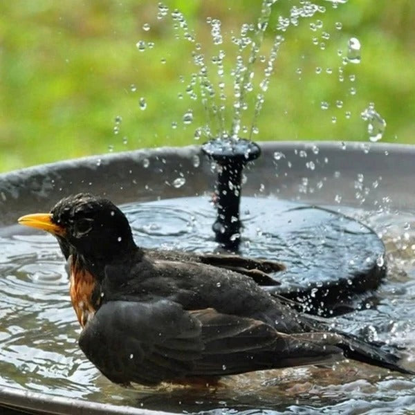 Kalsten | Solar Water Fountain for Garden