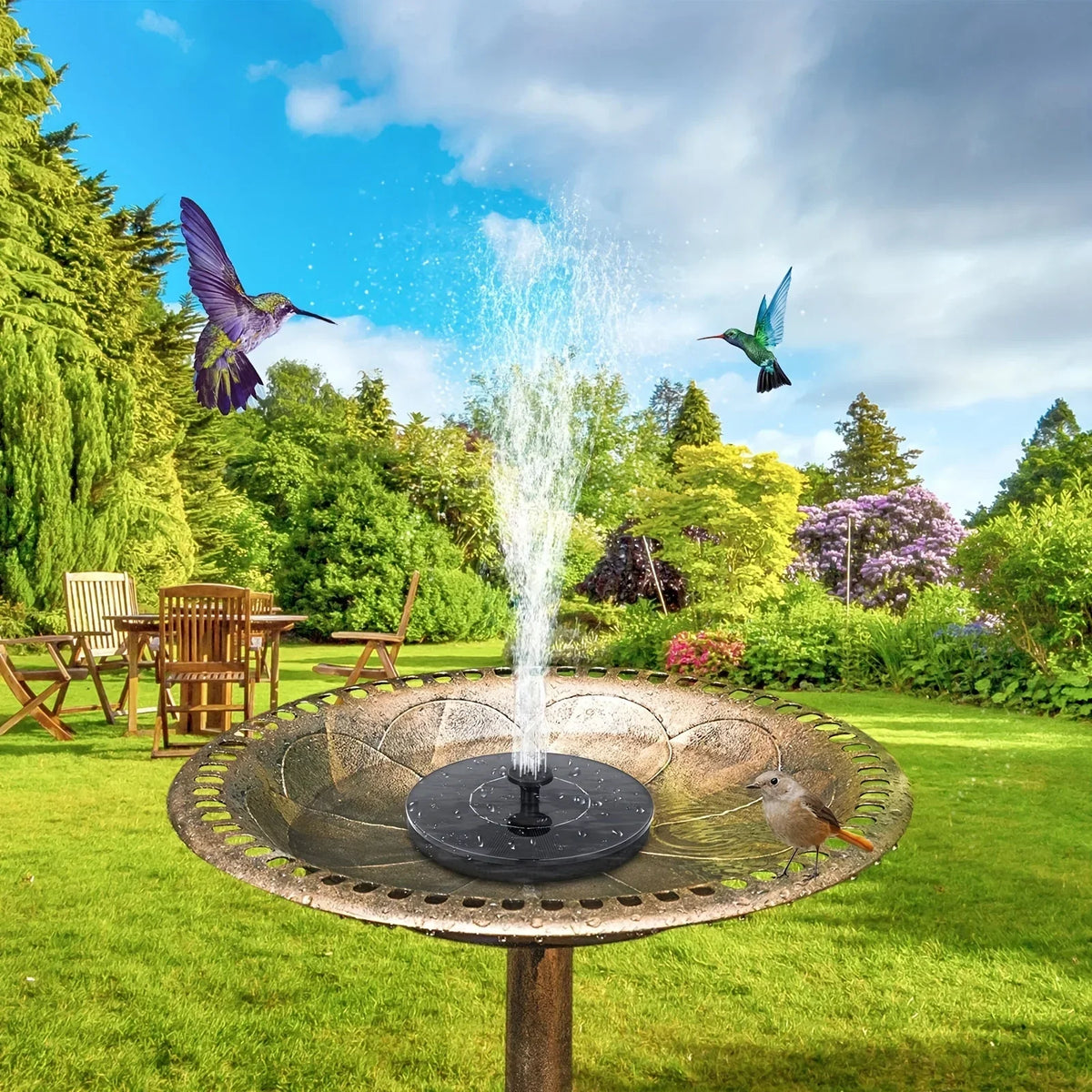 Skanto | Bird Bath Fountain