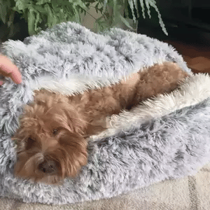 Calming Pet Cave Bed