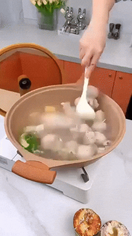 Kalsten | VEGA - UltraSmart Wok Pro with Steamer Basket