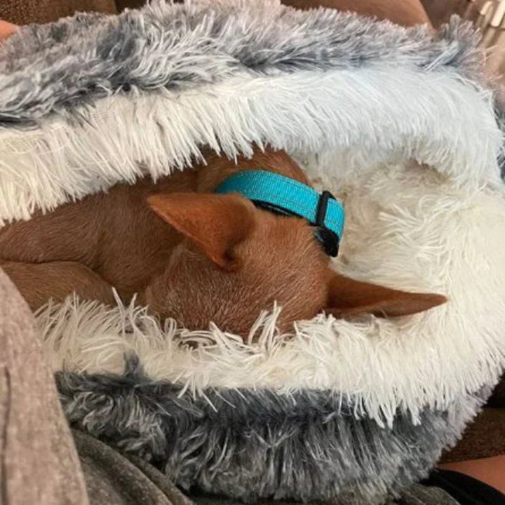 Calming Pet Cave Bed