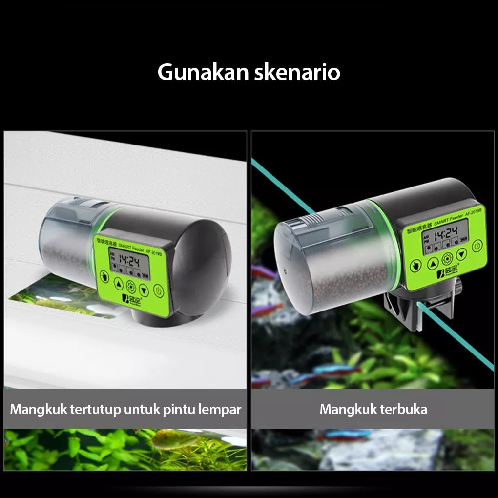 Skanto Skanto | Smart Automatic Fish Feeder