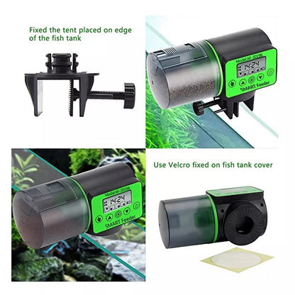 Skanto Skanto | Smart Automatic Fish Feeder