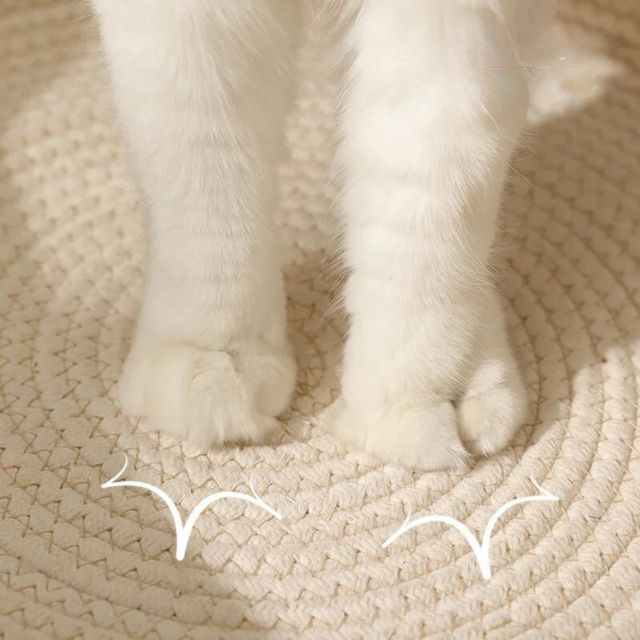 Hand-woven Cotton Rope Cat Bed Kalsten