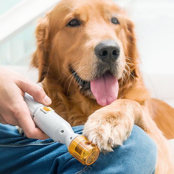 Kalsten | Premium Painless Nail Trimmer For Pets - All Size Dogs & Cats