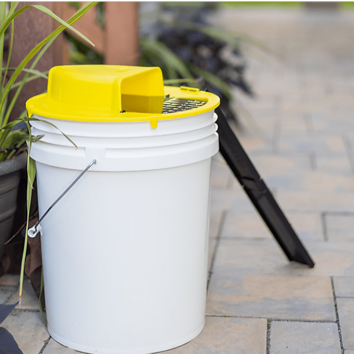 Automatic Smart Rat Trap for Home