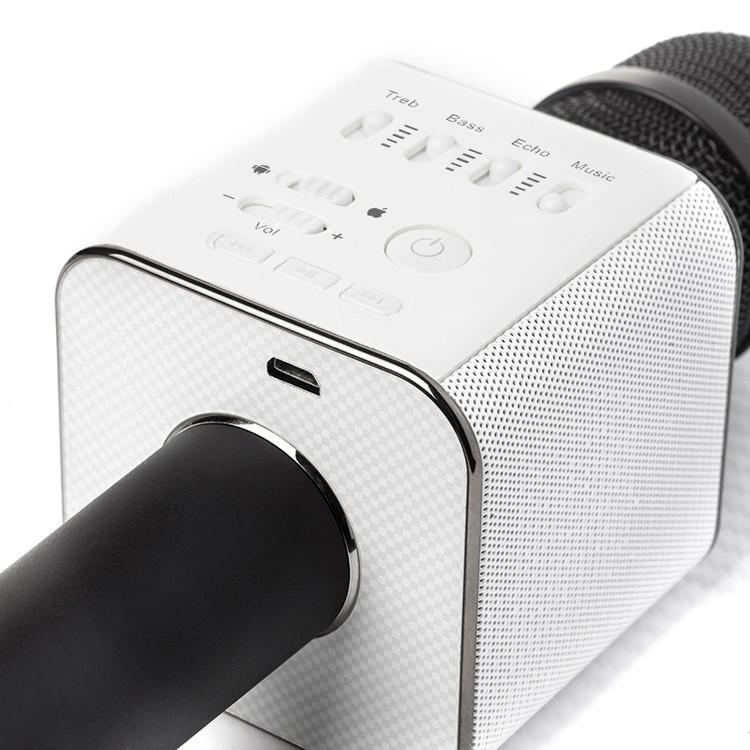 Karaoke Microphone Bluetooth with Speaker | Kalsten