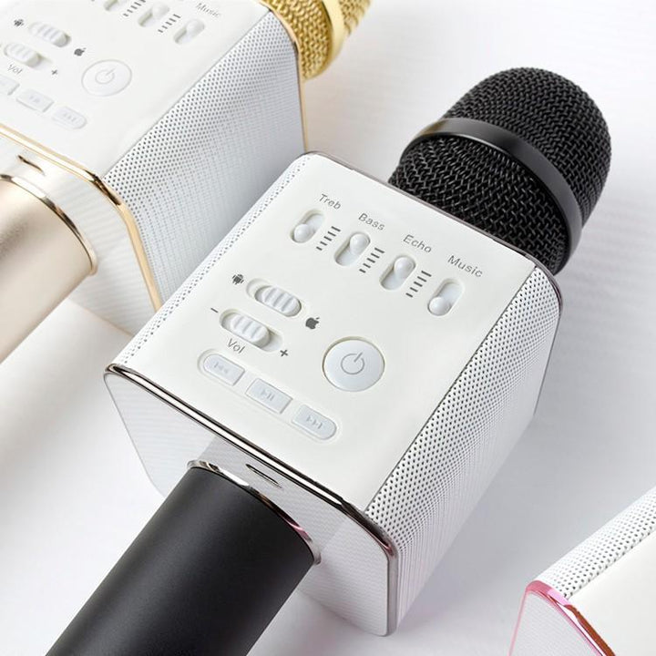 Karaoke Microphone Bluetooth with Speaker | Kalsten