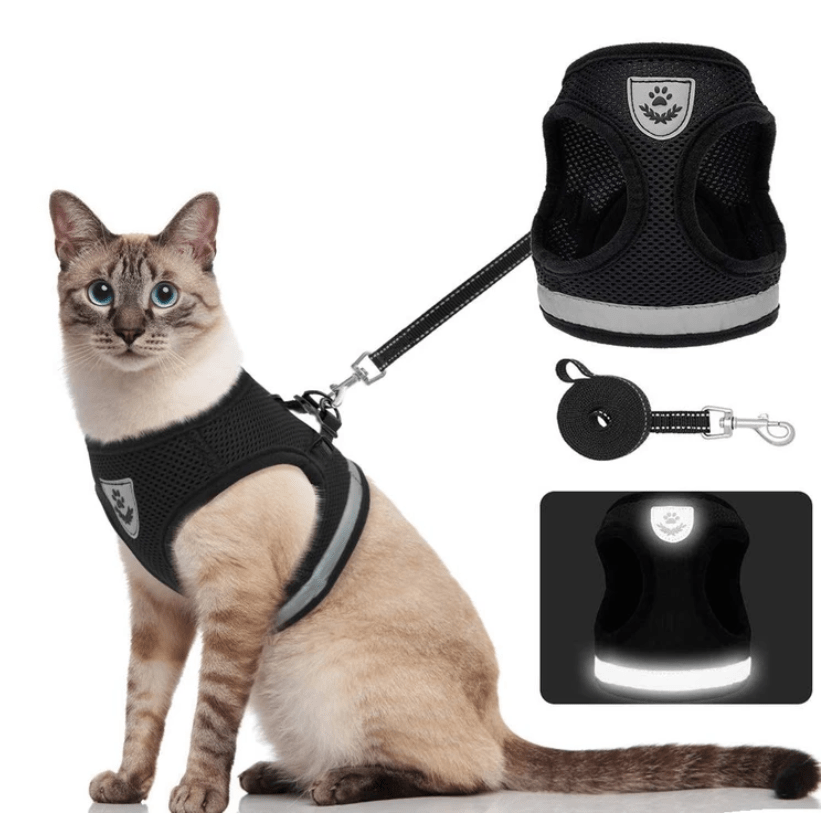 Kalsten | Escape-proof cat harness with reflective details