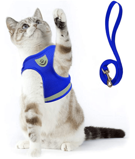 Kalsten | Escape-proof cat harness with reflective details