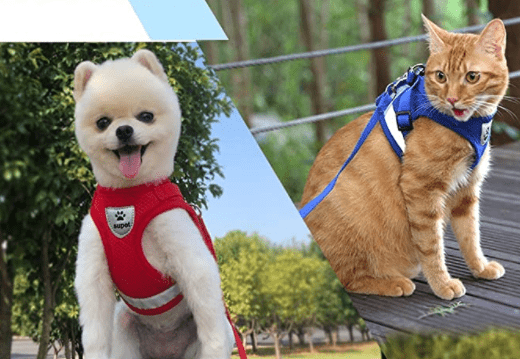 Kalsten | Escape-proof cat harness with reflective details
