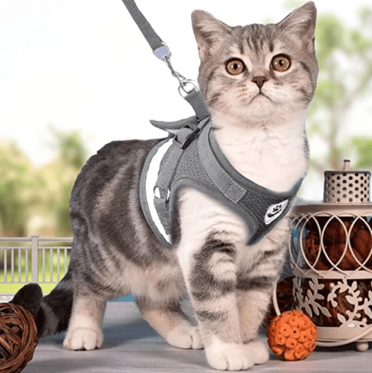 Kalsten | Escape-proof cat harness with reflective details