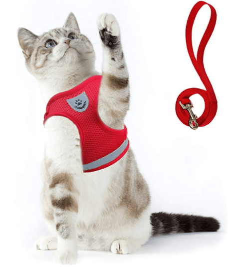 Kalsten | Escape-proof cat harness with reflective details