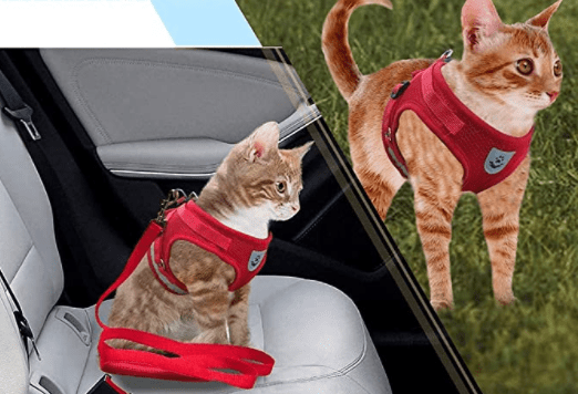 Kalsten | Escape-proof cat harness with reflective details